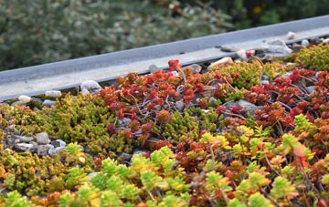 the cost of Harrietsham green roof installation