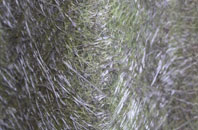 Harrietsham fibreglass roof work
